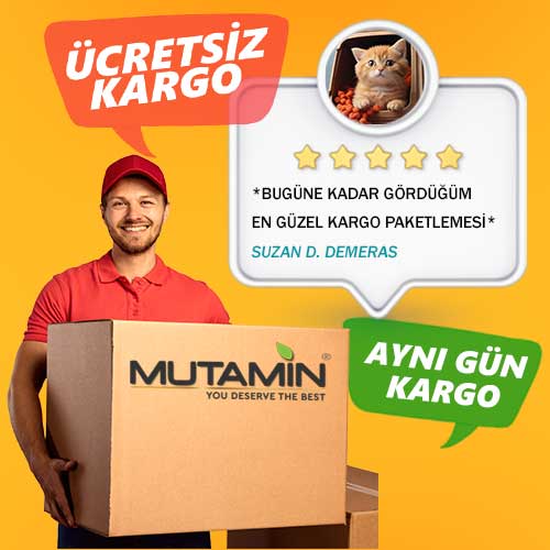 UcretsizKargoAyniGun02