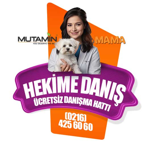 VeterinerHekimeDanismaHat