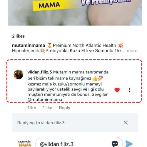 14nisan01AVildanOK