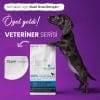 miracle vet banner revize low res