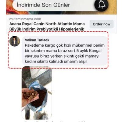 09Eylul2024volkan05ok