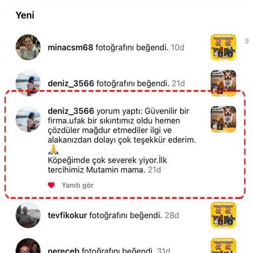 17Eylul2024Deniz02ok