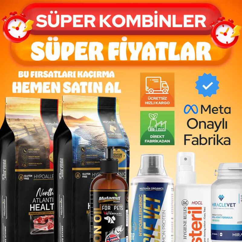 Mutamin Mama