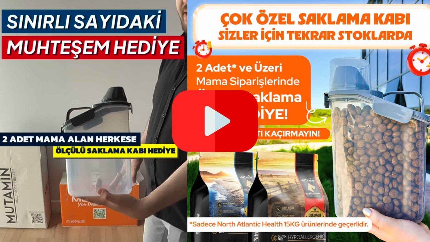 Mutamin Mama