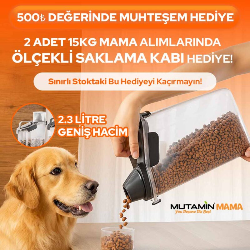 Mutamin Mama