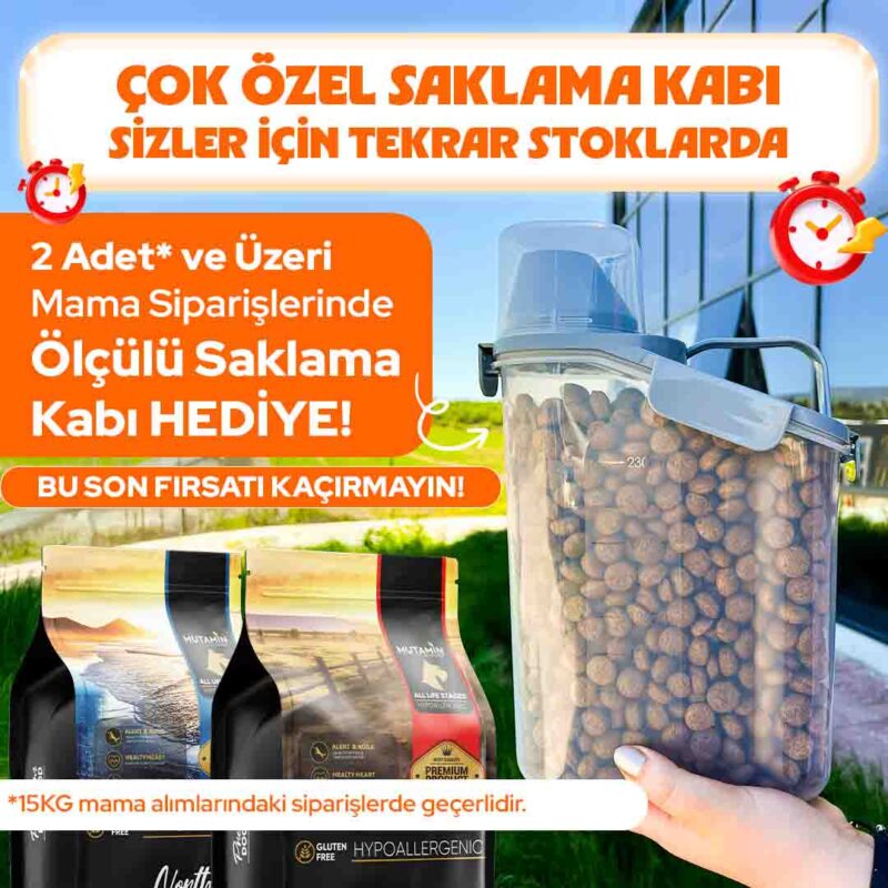 Mutamin Mama