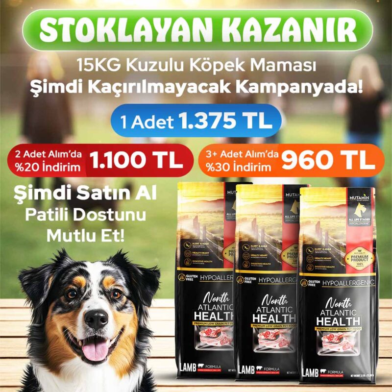 Mutamin Mama