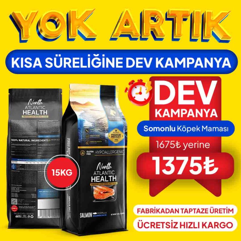 Mutamin Mama