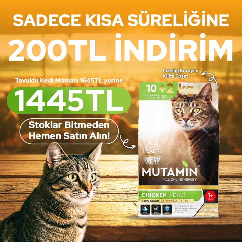 Mutamin Mama