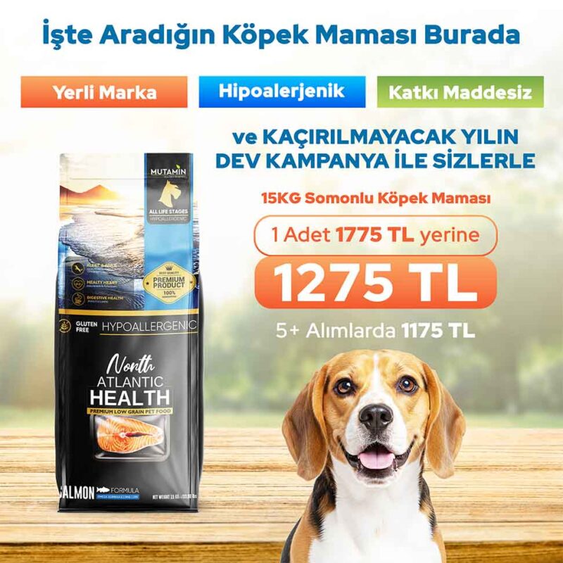 Mutamin Mama