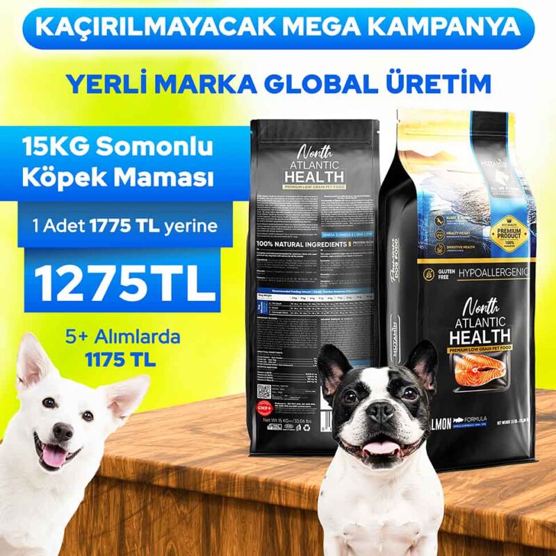 Mutamin Mama