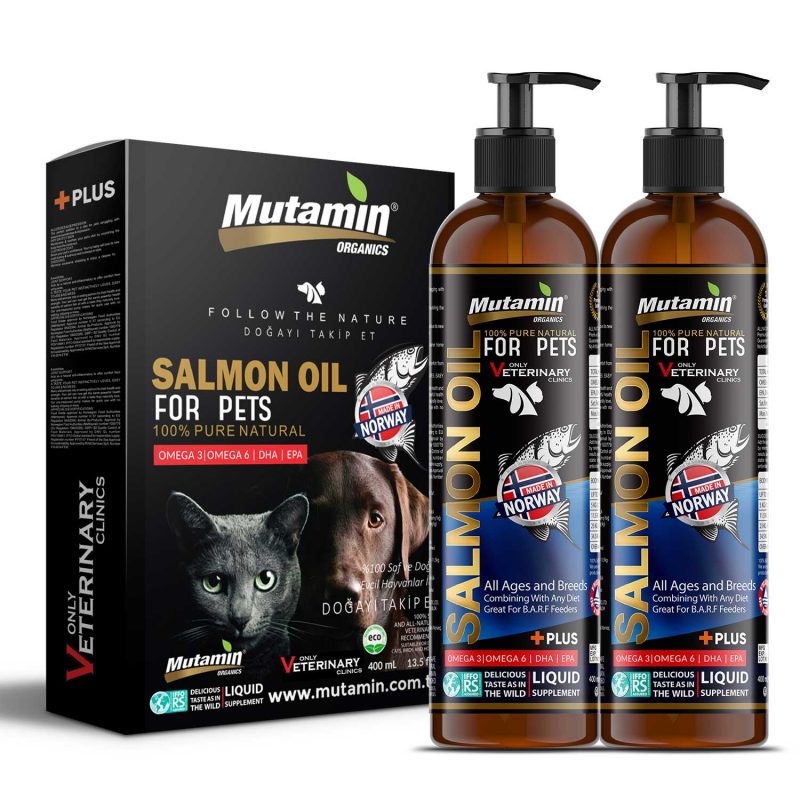 Mutamin Mama