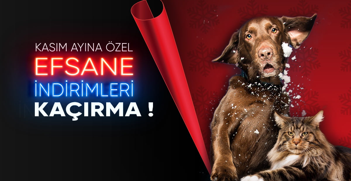 Mutamin Mama
