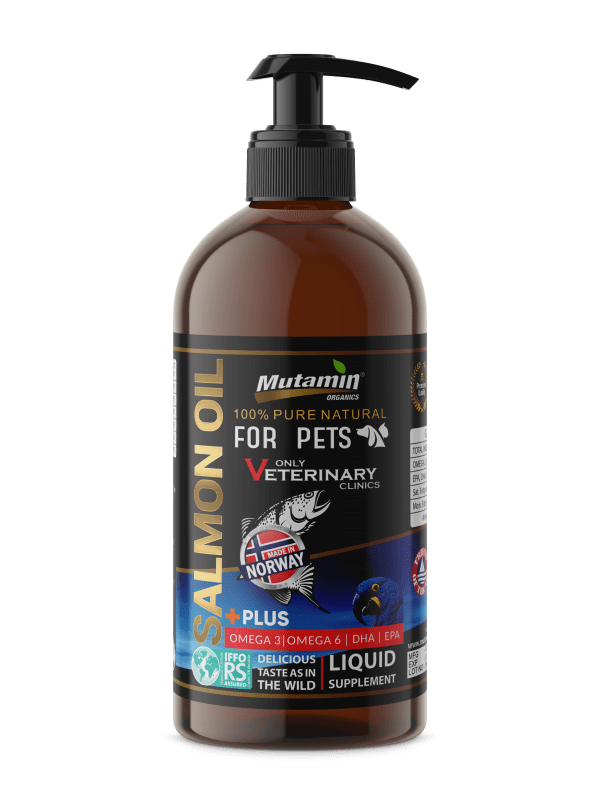 Mutamin Mama