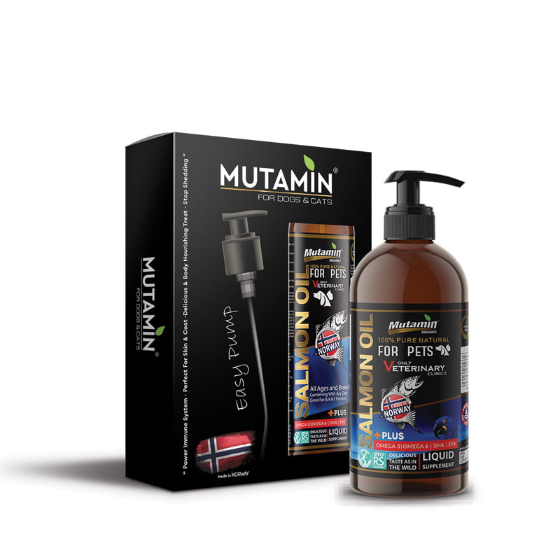 Mutamin Mama
