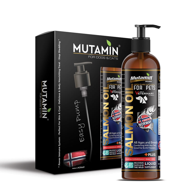 Mutamin Mama