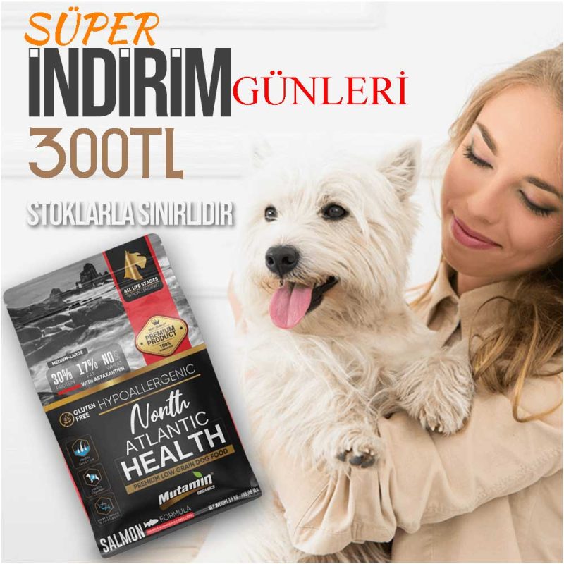 Mutamin Mama