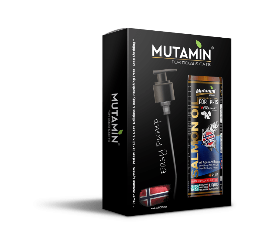 Mutamin Mama