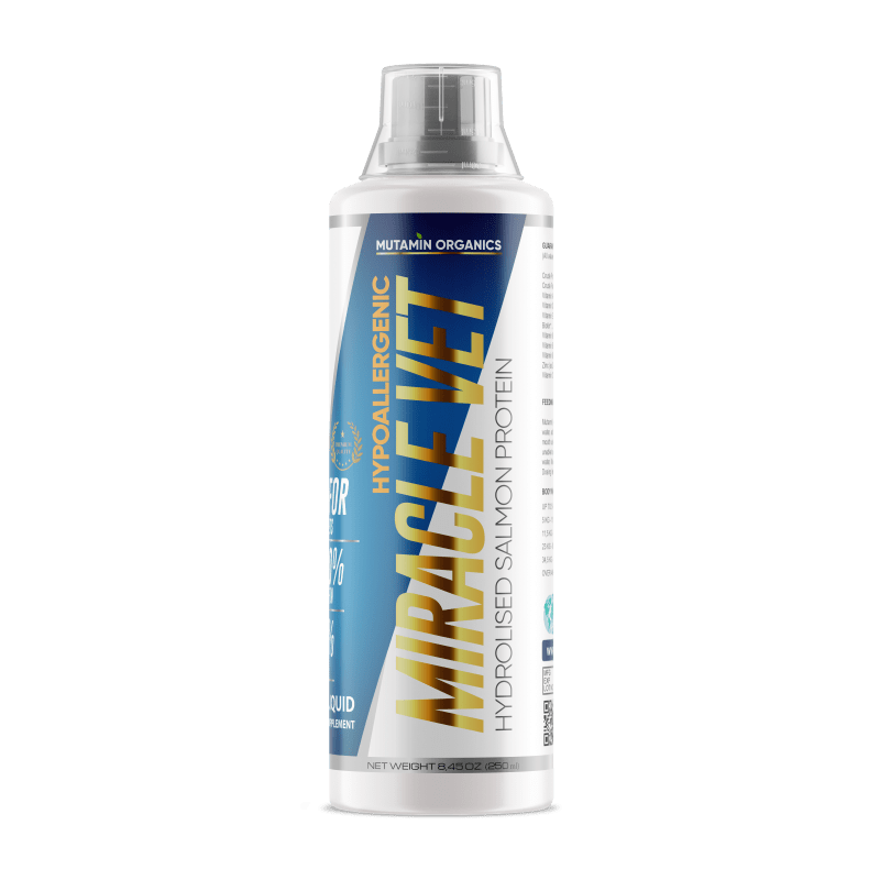 Mutamin Mama
