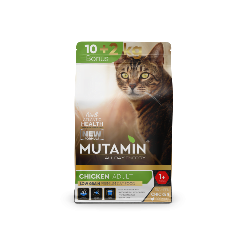 Mutamin Mama