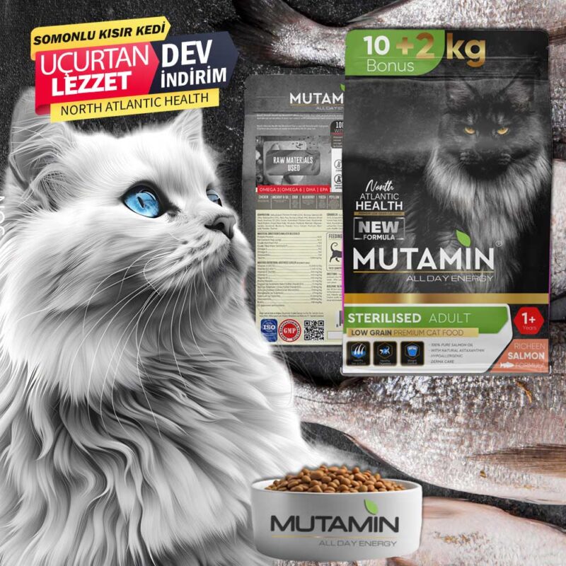 North Atlantic Health – Somonlu Kısır Kedi Maması 10+2 kg Hediye